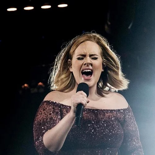 Adele: Οριστικό τέλος για τα tour της;