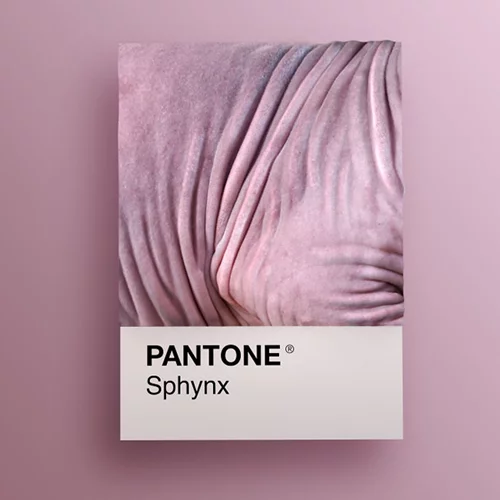 Οι ράτσες γατών ως χρώματα της Pantone