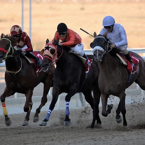 Ιππόδρομος: Όσα θα ζήσεις την Τετάρτη 5 Ιουλίου στο μεγάλο Ντέρμπι