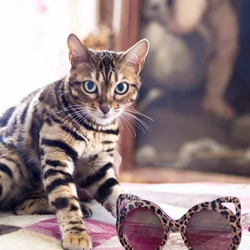 Είναι αυτή η πιο γλυκιά διαφήμιση που έχουμε δει; Εμείς πάντως λιώσαμε!