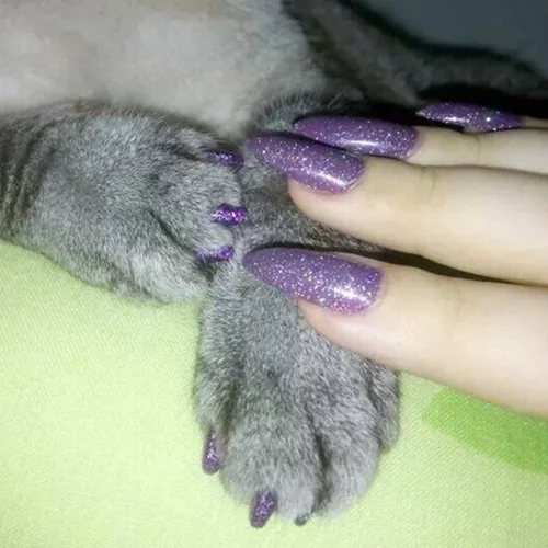 Πώς θα ταιριάξεις το manicure σου με αυτό του κατοικίδιου ζώου σου