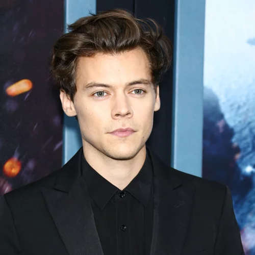 Harry Styles: Είναι αυτή η νέα του σύντροφος;