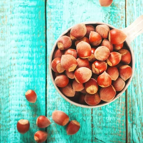 Ξεκινάει το σχολείο: Οι καλύτερες τροφές για ισχυρή μνήμη και πολλή ενέργεια