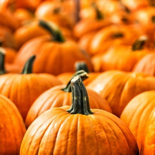 5 λόγοι να φας κολοκύθα ΤΩΡΑ (ναι, ξεκινάει η εποχή της!)