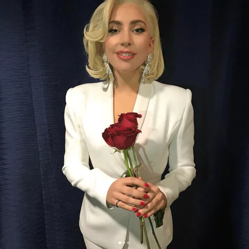 Lady Gaga: Συναντήθηκε με τους 5 εν ζωή πρώην προέδρους των ΗΠΑ