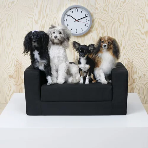 ΙΚΕΑ | Η νέα σειρά της δεν είναι για σένα αλλά για τον μικρό σου φίλο!