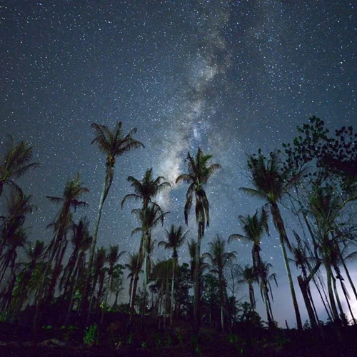 Ωριωνίδες | Τι είναι και πώς θα απολαύσεις το πέρασμα τους από τον ουρανό;