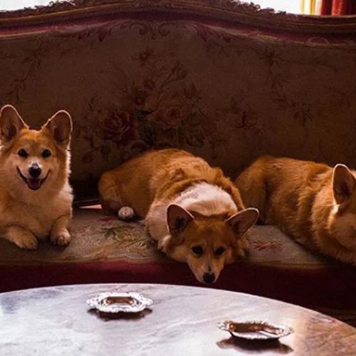 Οι νέες σειρές του Netflix που θα σού κρατήσουν την καλύτερη συντροφιά τον Δεκέμβριο!