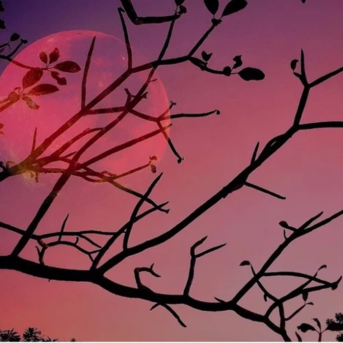 Πανσέληνος στον Ταύρο | Τι σημαίνει για το ζώδιό σου;