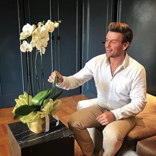 Σπύρος Σούλης | Στόλισε το Χριστουγεννιάτικο δέντρο στο γραφείο του