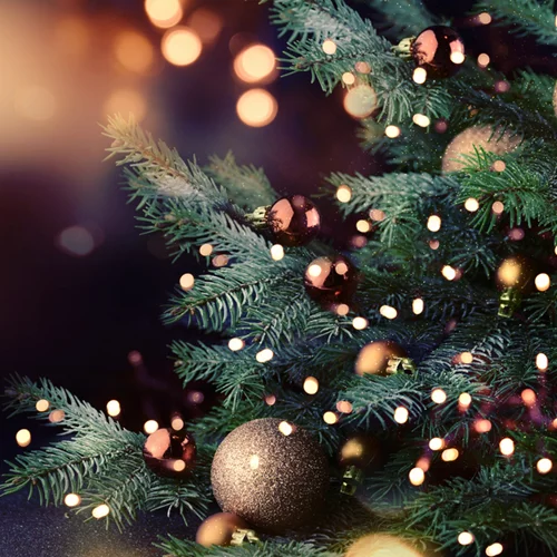 Χριστουγεννιάτικο δέντρο | Αυτός είναι ο σωστός τρόπος να βάλεις τα λαμπάκια!