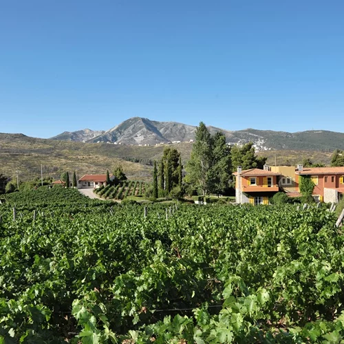 Εσύ που θα περάσεις την πρώτη Κυριακή του μήνα;