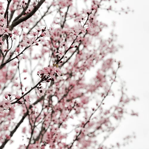Τι χρώμα έχει ο Μάρτιος; Εμείς, το μάθαμε!