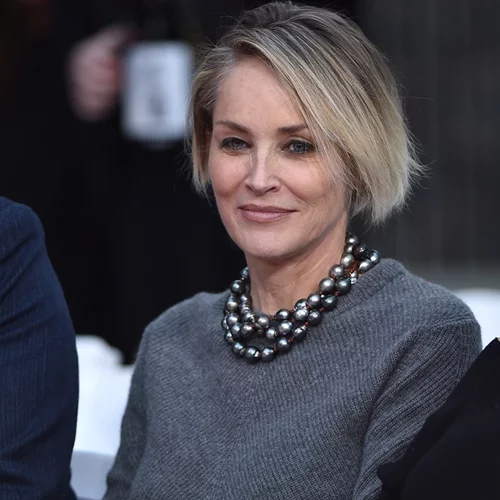 Sharon Stone | «Έμαθα να εκτιμώ τον εαυτό μου μετά το εγκεφαλικό στα 43 μου»