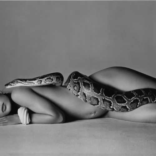 Μια συλλογή φωτογραφιών με τις πιο ξεχωριστές φωτογραφίες μόδας θα δημοπρατηθεί από τον Οίκο Sotheby’s