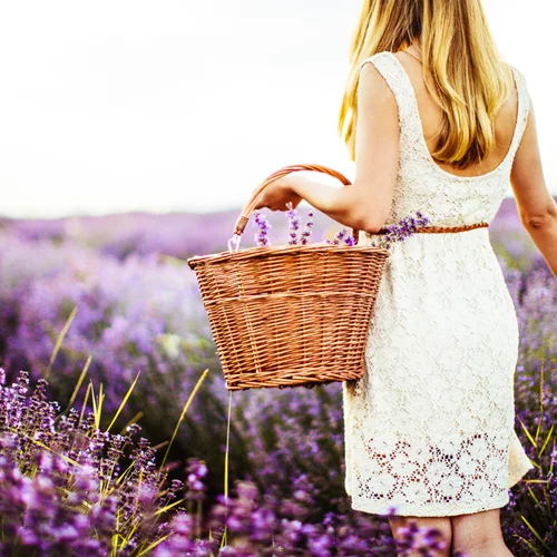 Έλαιο λεβάντας | 8 ευεργετικές ιδιότητες που έχει στον οργανισμό σου