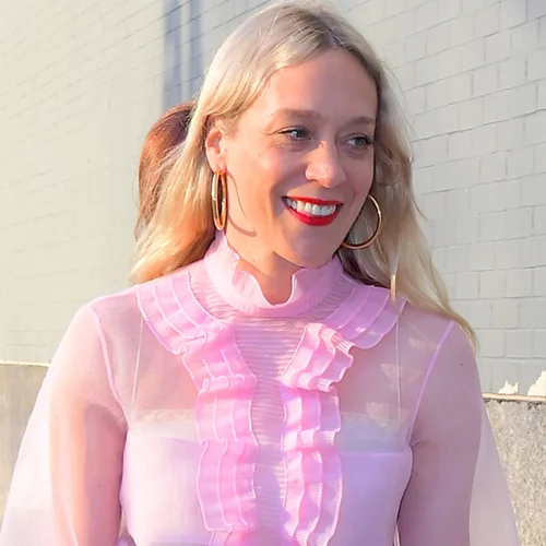 Η Chloë Sevigny φωτογραφήθηκε μέσω Zoom στον 9ο μήνα της εγκυμοσύνης της