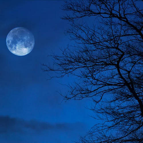 Νέα Σελήνη στο Ταύρο | Πώς επηρεάζει όλα τα ζώδια;