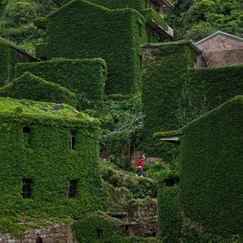 Houtouwan | Αυτή η πόλη της Κίνας έχει χαθεί (κυριολεκτικά) κάτω από έναν κισσό 