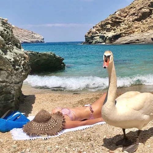 Ελένη Μενεγάκη: Ποζάρει με μαγιό και αποκαλύπτει με ποιους περνάει τις καλοκαιρινές διακοπές της