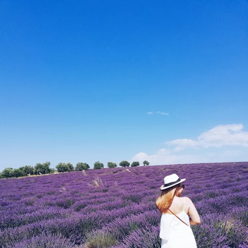 Αυτή η beauty εμπειρία σε ταξιδεύει στην γαλλική εξοχή!