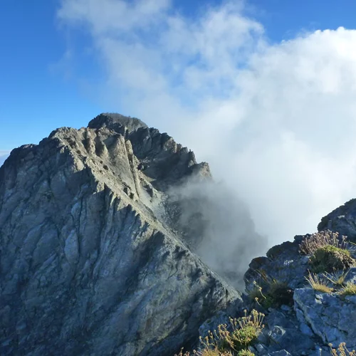 Το σημερινό doodle της Google είναι αφιερωμένο στον Όλυμπο