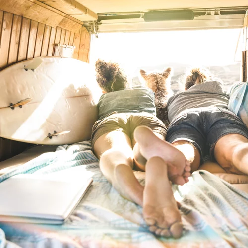 Ζώδια Αυγούστου | Οι μηνιαίες αναλυτικές προβλέψεις!