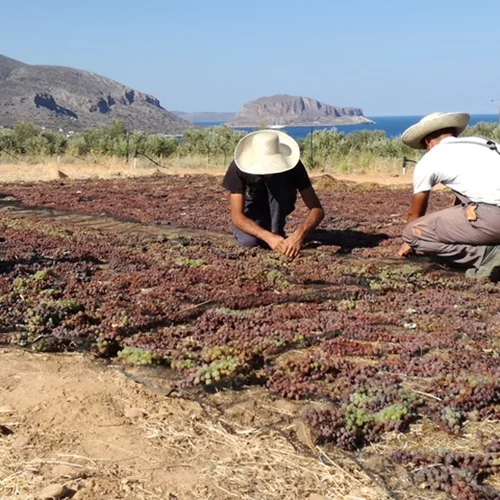 Ζήσε μία agro - chic εμπειρία στο κτήμα του Kinsterna Hotel