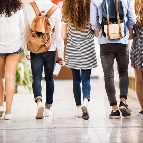 Νέα σχολική χρονιά | Πώς συμπεριφέρονται τα ζώδια σαν μαθητές;