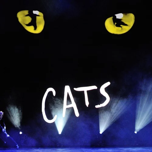 Cats | Δεν θα πιστέψεις ποιοι θα πρωταγωνιστήσουν στην ταινία