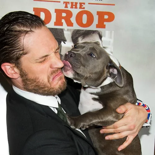 Ο Tom Hardy σου εξηγεί γιατί οφείλεις να λατρεύεις το σκύλο σου