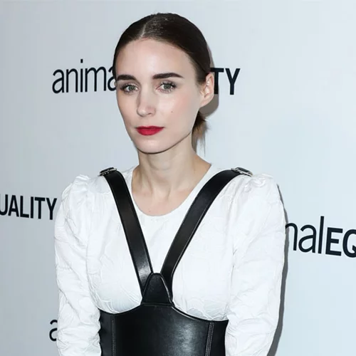 Rooney Mara | Η απροσδόκητη εμφάνιση στο κόκκινο χαλί