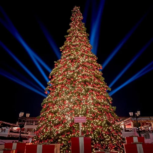 Christmas Festival | Η μαγεία των Χριστουγέννων ξεκινά