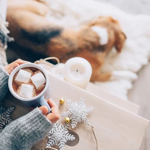 Πανσέληνος στους Διδύμους στις 23/11: Πώς θα σε επηρεάσει;