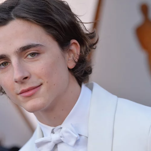 Ο Timothée Chalamet θα πρωταγωνιστήσει στην νέα ταινία του Wes Anderson