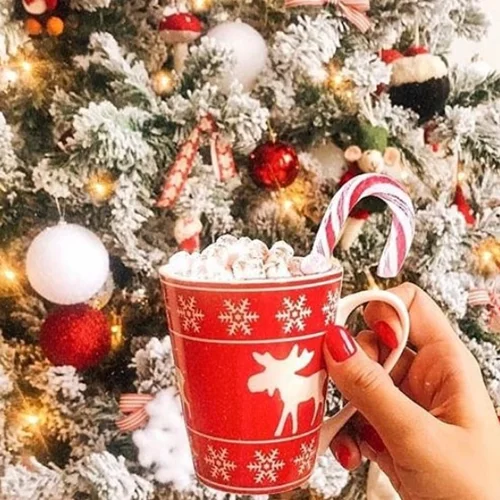 9 παραδοσιακά Χριστουγεννιάτικα ροφήματα από όλο τον κόσμο!