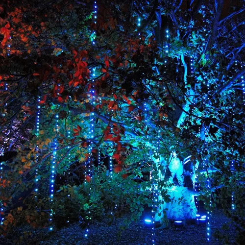 Εσύ πιστεύεις στα ξωτικά; | Ποια χώρα υποστηρίζει την ύπαρξή τους;