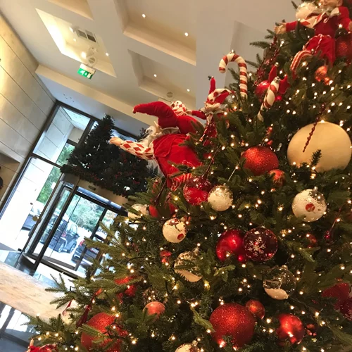 The Parliament  | Ανανεώθηκε & πρόσθεσε ένα σύγχρονο twist στο a la carte μενού του