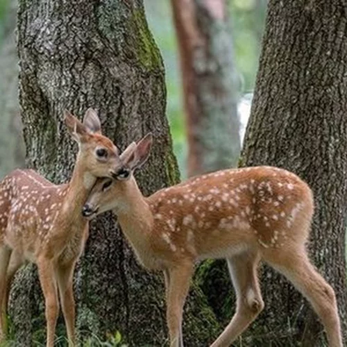 10 ιδέες για να περάσεις καλά τον Ιανουάριο