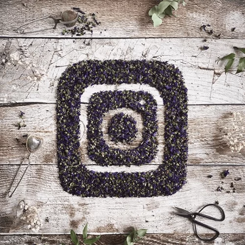 Ποια πασίγνωστη ηθοποιό καλωσόρισε ο κόσμος του Instagram;