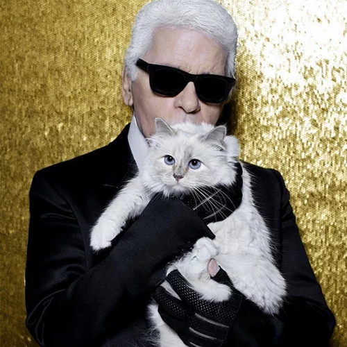 Η γάτα του Karl Lagerfeld συνεργάζεται με εταιρεία σχεδιασμού επίπλων για κατοικίδια