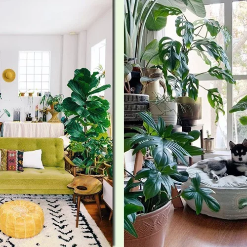 #apartmenttherapy | 7 ιδέες για να βάλεις χρώμα στο σπίτι σου