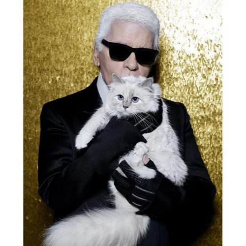 Choupette | Η γάτα κληρονόμος ετοιμάζει μία νέα συλλογή στη μνήμη του Karl Lagerfeld