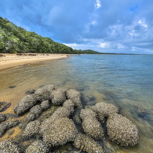 Πακέτο διακοπών στη Χαβάη με παρατήρηση των άστρων με την καθοδήγηση πρεσβευτή της NASA