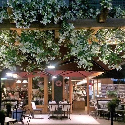 Το Menoo στην Κηφισιά είναι το μέρος που πρέπει να περάσεις την Καθαρά Δευτέρα