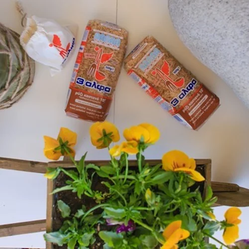 3αλφα Καστανό Ρύζι 10’ | Η πιο υγιεινή νοστιμιά παρουσιάστηκε σε ένα event γεμάτο ευεξία