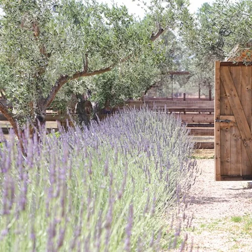 5 λόγοι γιατί η Φάρμα του The Margi είναι το πιο cool destination της πόλης και για το Πάσχα