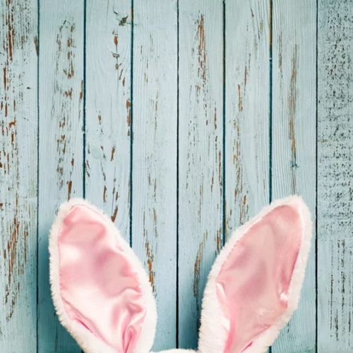 Η Αλίκη στη Χώρα των Θαυμάτων έρχεται στο River West