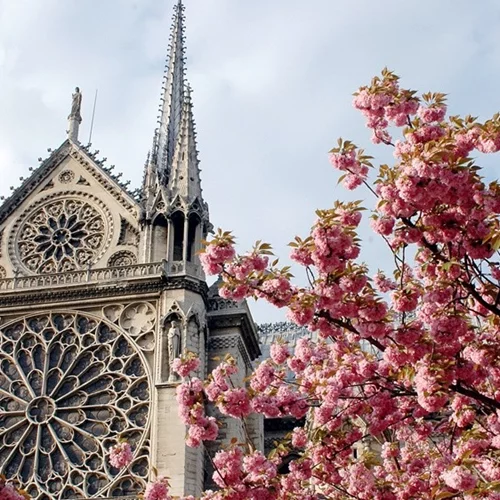 7 πράγματα που πρέπει να γνωρίζεις για την Παναγία των Παρισίων