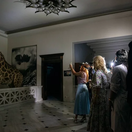 Ένα ασυνήθιστο πικνίκ στο Μουσείο Γουλανδρή Φυσικής Ιστορίας